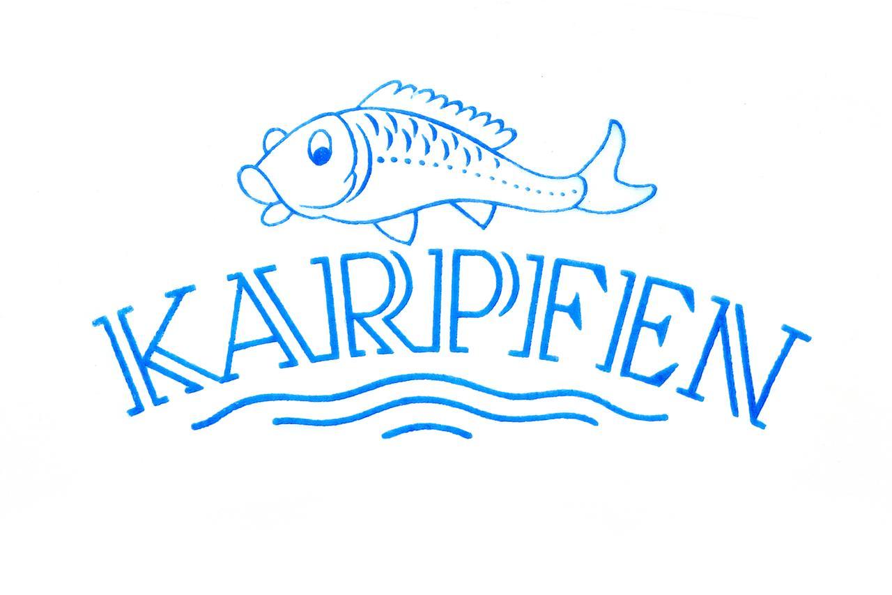 Hotel & Restaurant Zum Karpfen Obernburg am Main Extérieur photo